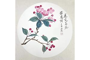 HMAYART KZ185 Hmay Pre-Mounted Soft Shikishi with Jingxian Semi-Sized Xuan Paper/Chinese Shikishi for Sumie Painting and Brush Calligraphy 10 Sheets (Square 33 cm, 12.99") (7)