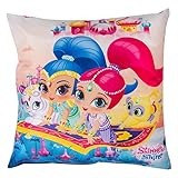 Shimmer & Shine 'zahramay' Square Cushion