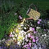 Solar Watering Can Lanterns Waterproof Hanging