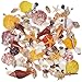 100PCS Sea Shells Bottle Mixed Ocean Beach Seashells-Natural Colorful Seashells Starfish Perfect for Vase Fillers,Wedding Decor Beach Theme Party , Home Decorations,DIY Crafts, Fish Tank,Candle Making