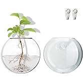 Wangsdjy Wall Mount Plant Propagation Station - Clear Hydroponic Glass Vase, Oblate Planter for Indoor Plants | Perfect for Home, Office, Bathroom Decor | Gift for Plant Lovers (2)