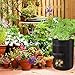 Potato Grow Bags with 2 Access Flap, 10Gallon Garden Planting bags Outdoor/Indoor, Non-woven Planter Pots with 2 Velcro Windows, Planting Pouch with Handles for Potatoes Vegetables (Black, Pack of 2))thumb 4
