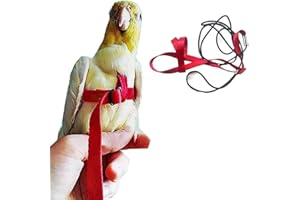 Anelekor Adjustable Birds Harness and Leash Parrot Harness Leash Training Supplies Pet Anti-bite Outdoor Flying Rope for Conures Budgerigar Lovebird Cockatiel Mynah (S, Red)