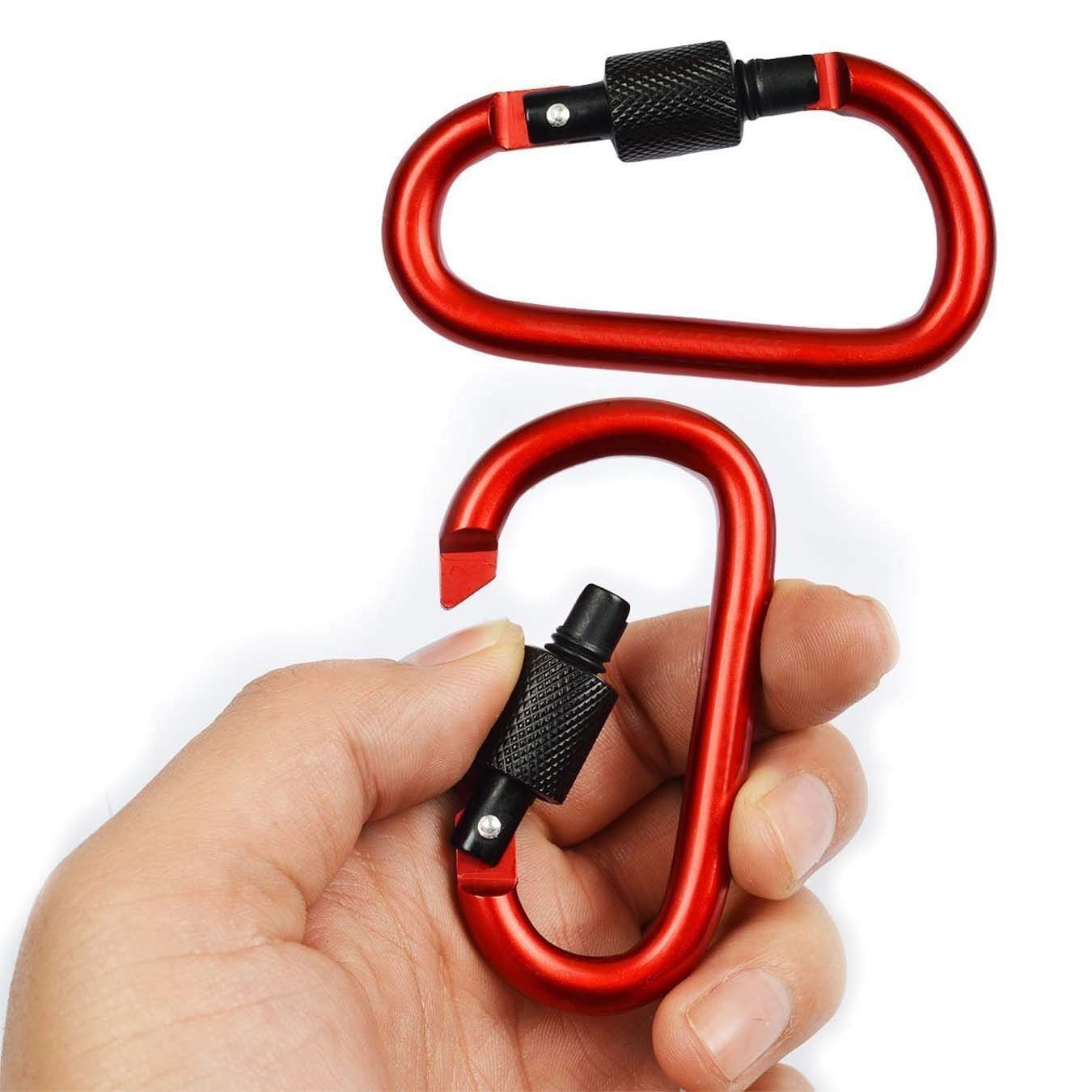 Onwon Aluminum Carabiner D-Ring Locking Key Security Camping Climbing Hiking Keychain ( 10 PCS): Beauty