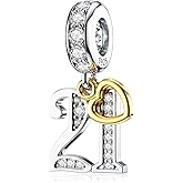 DALARAN Birthday Number 21st 30th 40th 50th Celebration Letter Charm for Bracelets Present for Women Wife Sister Friends