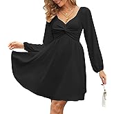 Florboom Women's Sweetheart Knot Front Dress Lantern Long Sleeve Smocked Back A-Line Chiffon Mini Dresses