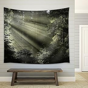 Sun Light Shining Through The Trees. Carpathians Wood, Ukraine. - Fabric Wall Tapestry Home Decor - 51x60 inches
