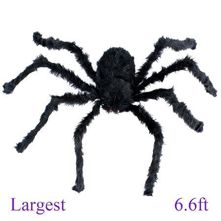 Ttvovo 6 6ft 200cm Giant Huge Black Spider Decorations Halloween