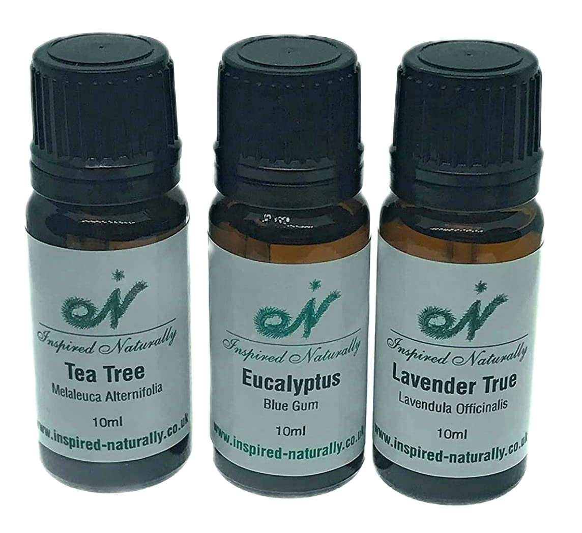 Inspired Naturally Set of Three 100% Pure, 10ml Essential Oils Tea Tree, Lavender and Eucalyptus