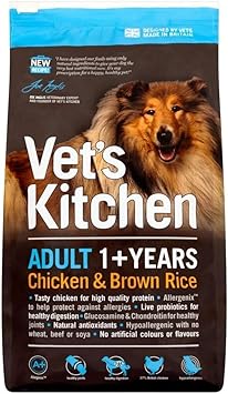 all black small dogs