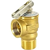HYDRO MASTER Safety Relief Valve With 3/4 Inch Thread 30 PSI ASME Hot Water (30 PSI)