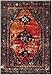 SAFAVIEH Vintage Hamadan Collection Accent Rug - 4' x 6', Orange & Multi, Traditional Persian Design, Non-Shedding & Easy Care, Ideal for High Traffic Areas in Entryway, Living Room, Bedroom (VTH217B)