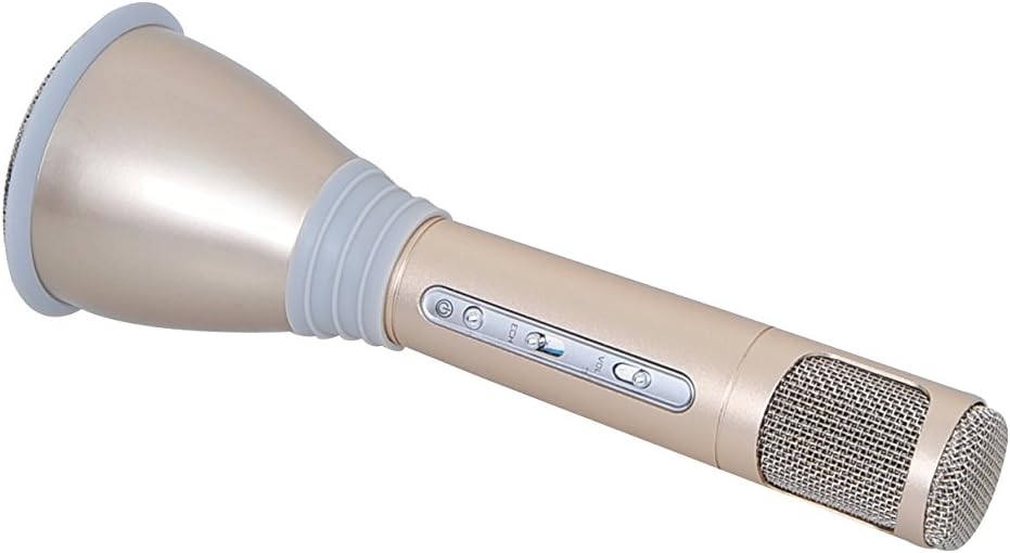 portable speaker microphone system