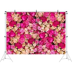 Ticuenicoa 9x6ft Pink Red Rose Flowers Photography