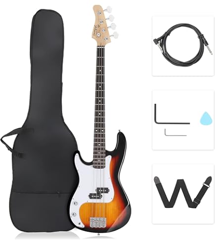 Amazon.com: Kay Reissue Jazz Special 4 String Hollow Body