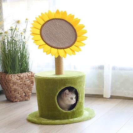 sunflower scratching post