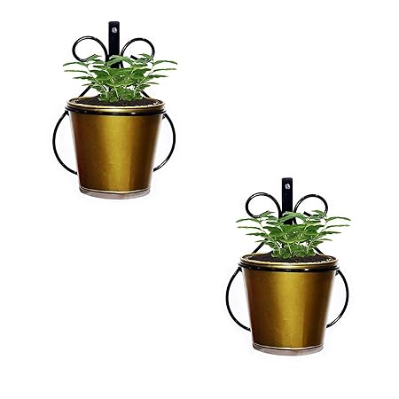 Decorscent Metal Planter Stand with Bucket, Gold, 5.5