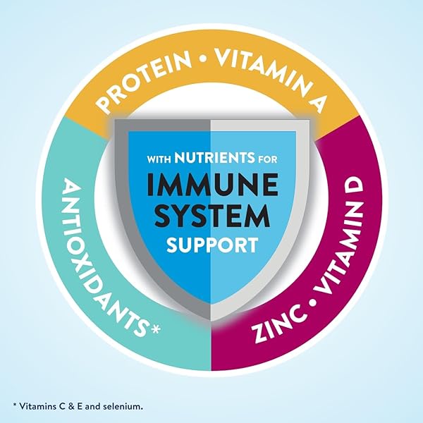 ENSURE ORIGINAL VANILLA NUTRITIONAL POWDER | VANILLA PROTEIN SHAKE | MEAL REPLACEMENT SHAKE MIX | 8G PROTEIN, 24 VITAMINS & MINERALS | IMMUNE SUPPORT |14.1 OZ – 1 CAN