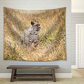 a Large Adult Leopard Looks Through The Tall Grasses of The Savanna in Search of His Next Meal - Fabric Wall Tapestry Home Decor - 51x60 inches