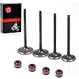 Intake Valve & Exhaust Valve Kit For Honda CRF250X 2004-2017 CRF250R 2004 2005 2006 2007 14721-KRN-670 14711-KRN-670