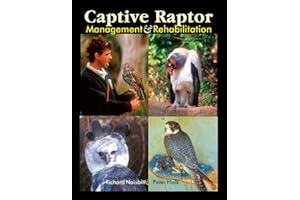 Captive Raptor Management & Rehabilitation