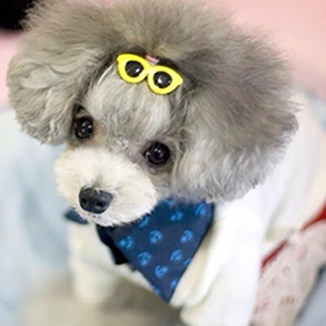 Jeeke 10Pcs Pet Dog Hair Clips Cute Doggie Circular Sunglasses Hair Clips Dog Accessories Fashion and Lovely