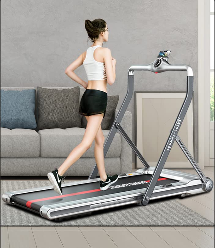 RHYTHM FUN Treadmill 2in1 Folding Treadmill Under Desk Walking