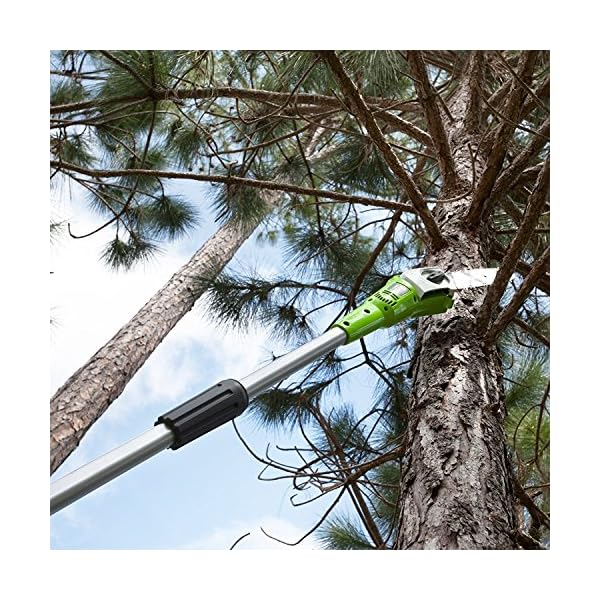 Greenworks G24PS20K2 Akku Hochentaster,20 cm BlattlÃ¤nge, 6,7 m/s Kettengeschwindigkeit, 3,2 kg, automatisches Ãl-System, 50 ml Ãltank, 2,6m Stangenreichweite,24V 2Ah Akku & LadegerÃ¤t, 3 Jahre Garantie – Bild 7