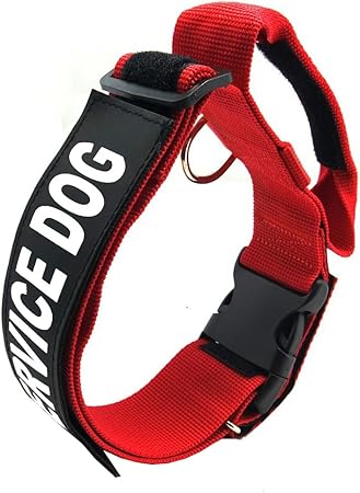dog training collars for jumping