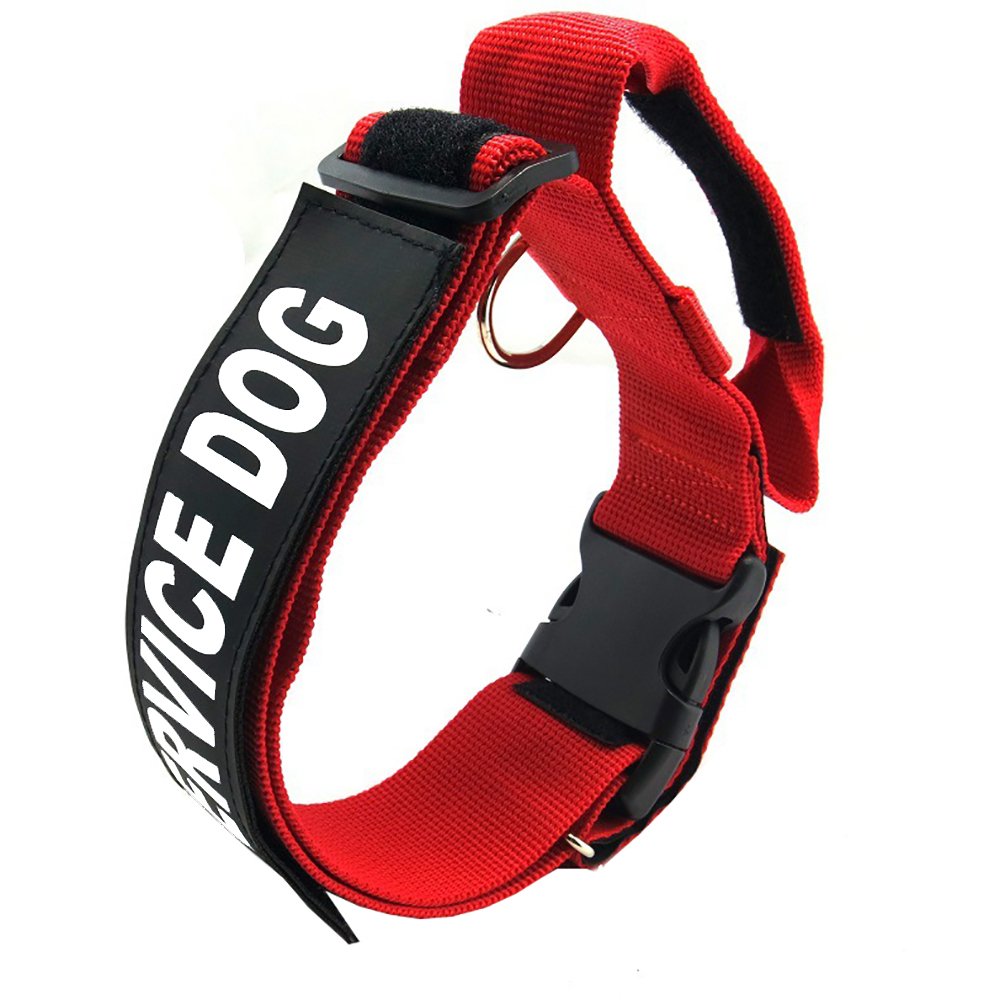 velcro dog collar