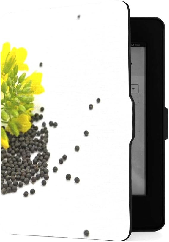 How to set up kindle paperwhite (10th generation) picture