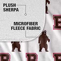 Brown University Blanket, 50"x60" Logo Pattern