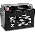 YTX9-BS Battery 12V 8AH 135 CCA High Performance AGM SLA Power Sport Battery lead_acid_battery by Casil