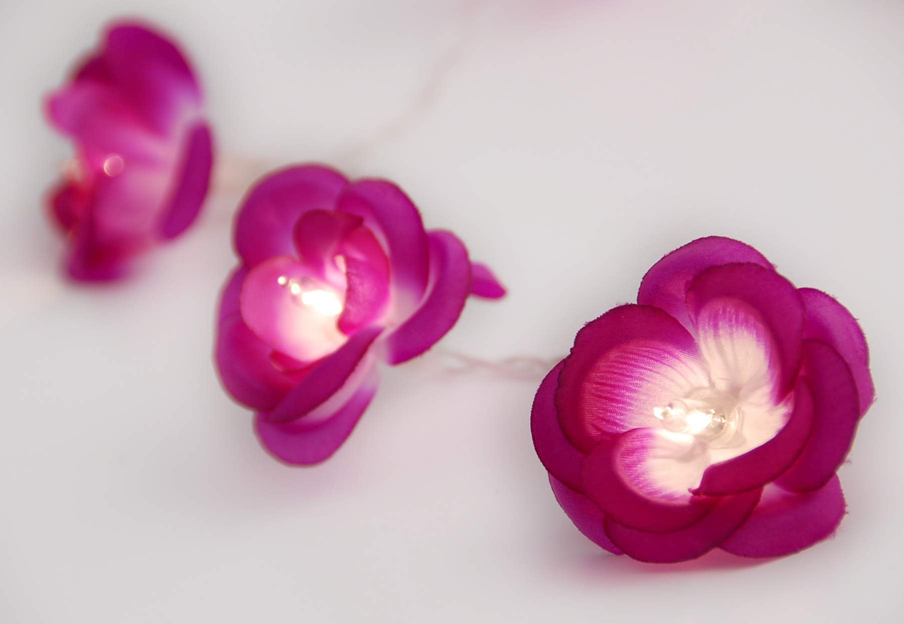 BLAZE ON Romantic Haute Couture Country Rose Fairy Lights (Purple) - 20 LED - Mains Powered Richly Coloured Vibrant Wild Rose Petal Decorative Lights - UK Plug + 1 Year Guarantee