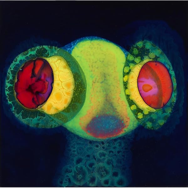 米2LP Oh Sees Face Stabber CF116 CASTLE FACE /00520 Oh Sees-Face Stabber Exclusive 2LP Color Vinyl | Newbury Comics