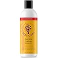 Jessicurl, Gentle Lather Shampoo, Citrus Lavender, 16 Fl oz. Cleansing Curly Hair Shampoo, Vegan, Sulfate Free Shampoo