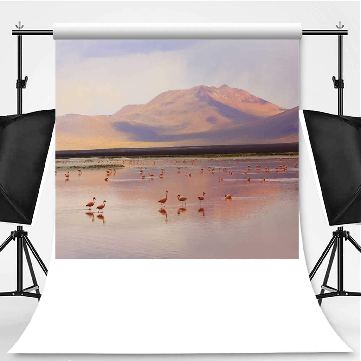 Amazon Com Ive Laguna Colorada Red Lake Reflection Photography