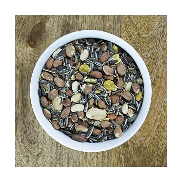 Seedzbox-Ultimate-Deluxe-Squirrel-Food-Seed-and-Nut-Feed-Mix--Natural-Treats-and-Snacks-for-Wild-Squirrels--Monkey-Nuts-Flaked-Peas-Whole-Maize-and-Wheat-Healthy-Fats-and-Vitamin-E--900g-Bag Squirrel Food Seed and Nut Feed Mix 900g - SeedzBox Deluxe Squirrel Food - Natural Treats and Snacks for Wild Squirrels…