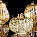 Romingo Mercury Glass Pumpkin Light with Timer for Halloween Pumpkin Decorations Fall and Thanksgiving Decor,Silver, 5.5 inches