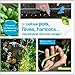 Je cultive pois, fèves, haricots... : Des protéines dans mon potager ! by 