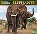 National Geographic Elephants 2017 Wall Calendar