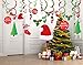 Konsait Christmas Hanging Swirl Decoration Kit(30pcs), Merry Christmas Swirls Garland Foil Hanging Ceiling Decoration for Xmas Winter Wonderland Holiday Party Decor Supplies,Already Assembled