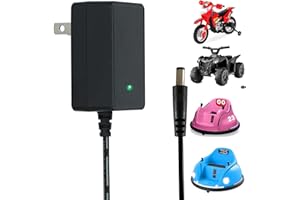FLHFULIHUA Universal 6 Volt Charger for Kidzone Flybar Bumper Car,6V Battery Charger for Kids Ride On Toys Compatible with Best Choice Products SUV, Dynacraft, Huffy & Hello Kitty Electric Cars DC 6V Power Adapt