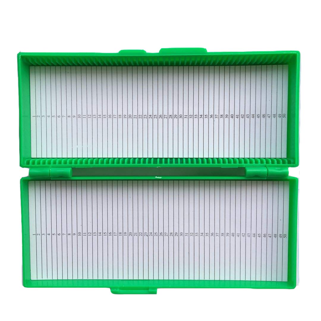 50-Place Microscope Glass Slide Box (Green)