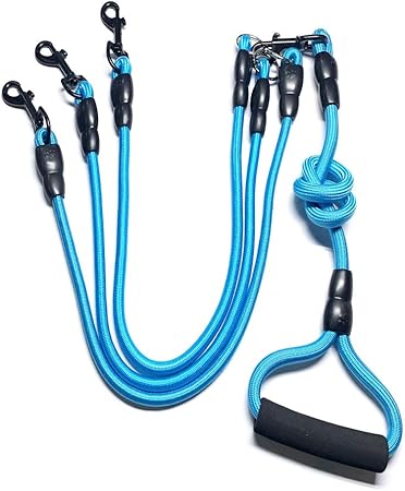 3 in 1 dog lead
