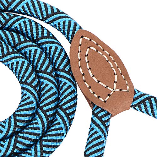 Mile High Life Mountain Climbing Dog Rope Leash with Heavy Duty Metal