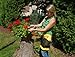 Dramm 19026 ColorWear Garden Apron, Berry