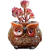 zmgmsmh Animal Shaped Planter Flower Pot Owl Shape Small Succulent pots with Drainage Ceramic Animal Planter, Indoor Plant Co