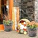 Metal Flower Pot Indoor and Outdoor Planters Galvanized Bucket - 2 Pack Garden Home Fall Decor for Halloween, 9 Inch, Silver