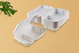 FOOGO Green Clamshell Takeaway Boxes 9x6 32oz 900ml 2-Section Sugarcane view 7